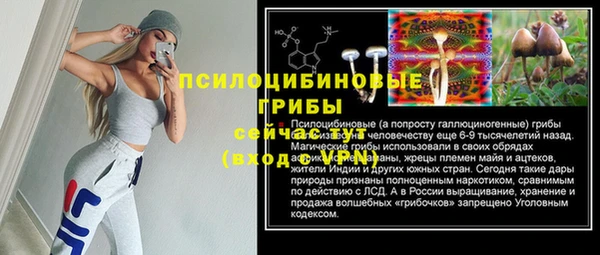 не бодяженный Абаза