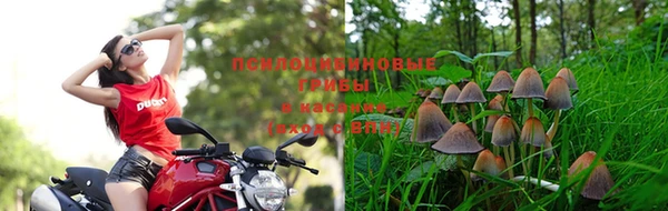 не бодяженный Абаза