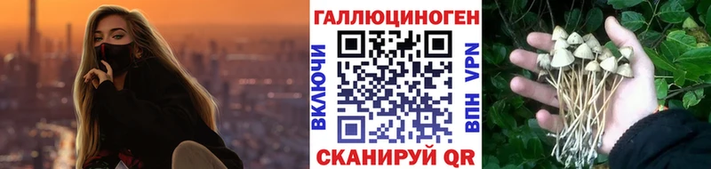 Галлюциногенные грибы мухоморы  закладка  MEGA ТОР  Саратов 