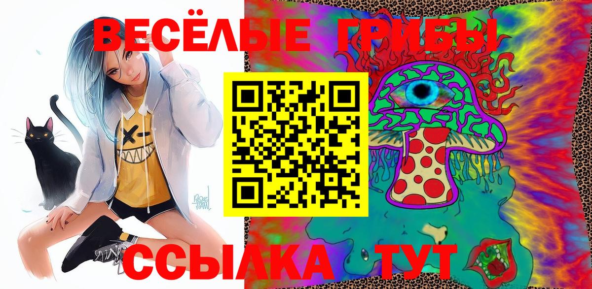 где найти   Вход с VPN  Саратов  Псилоцибиновые грибы MAGIC MUSHROOMS 