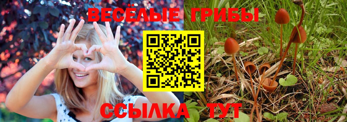 КОКАИН  Саратов  Вход с VPN  Гашиш  Меф МЯУ МЯУ   Конопля 